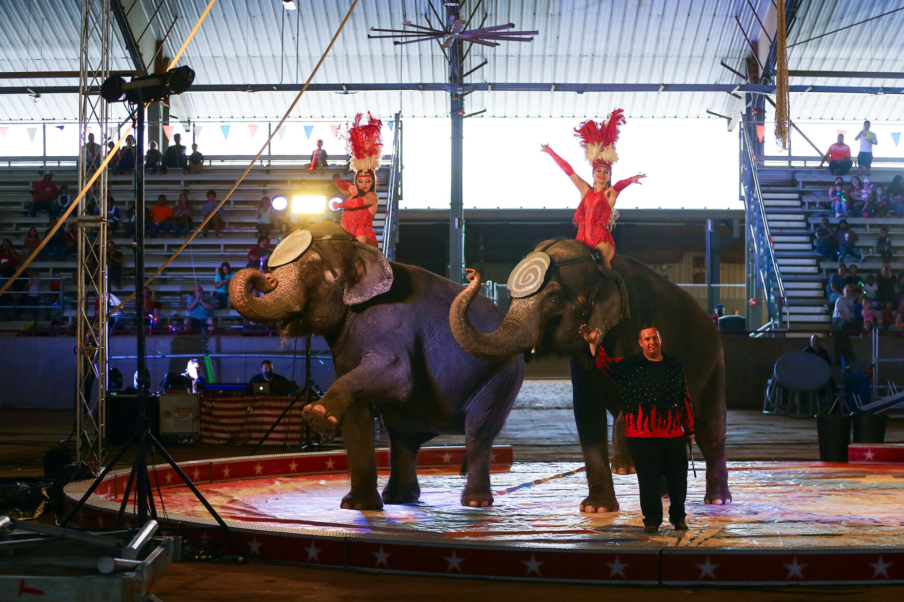Carden Circus